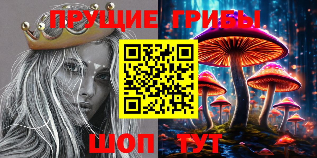 Когалым  Псилоцибиновые грибы Psilocybe  Галлюциногенные грибы Psilocybe  Вход с VPN 