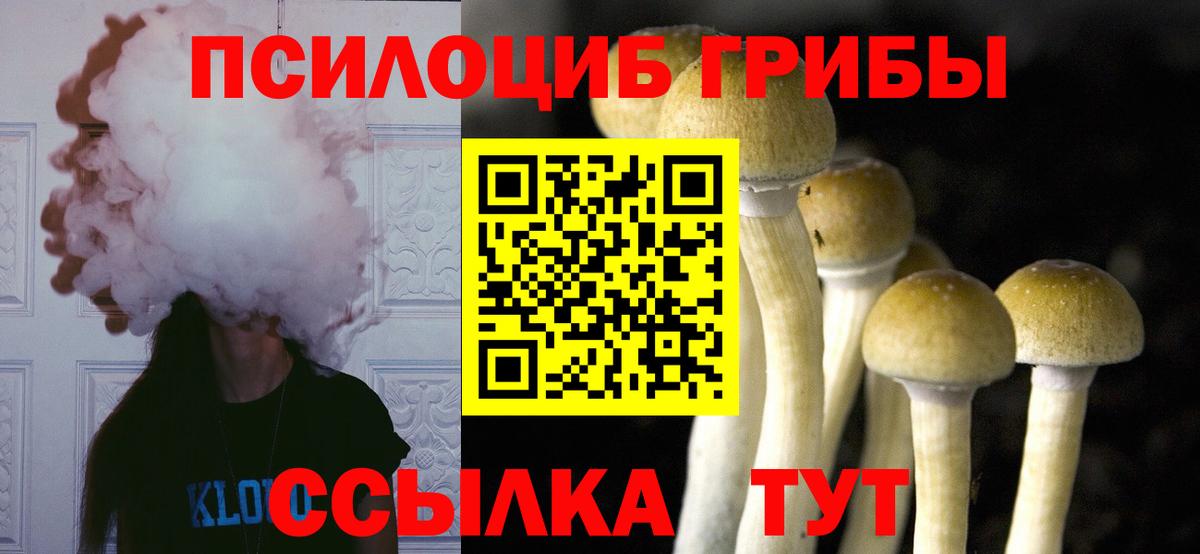 Псилоцибиновые грибы Cubensis Когалым